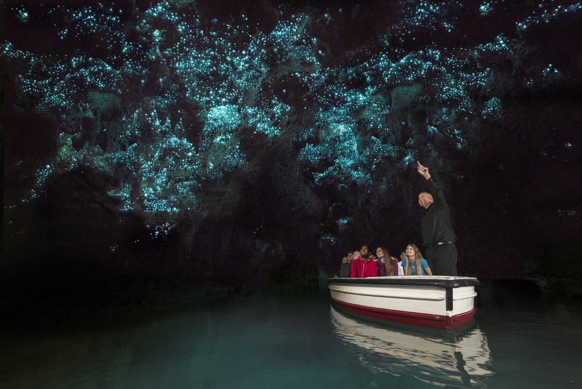 新西兰跟团游去参观萤火虫洞